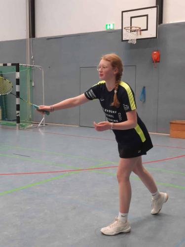 Badminton Hannover
