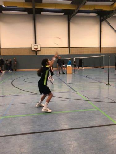 Badminton Hannover