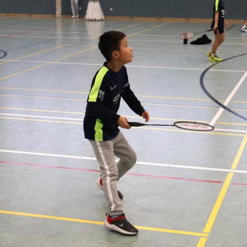 Badminton Hannover