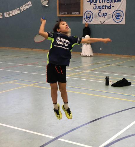 Badminton Hannover