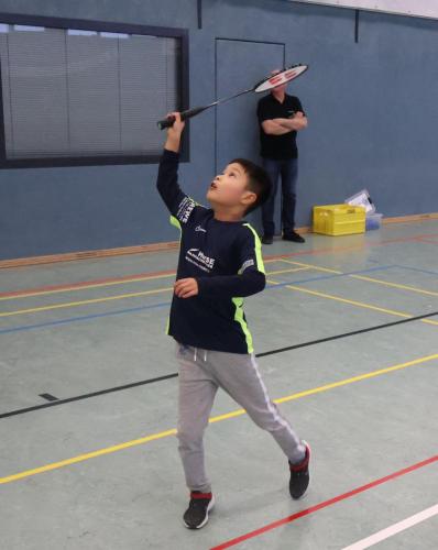 Badminton Hannover