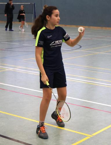Badminton Hannover