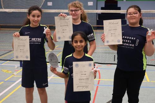 Badminton Hannover