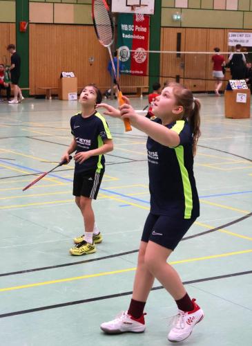 Badminton Hannover
