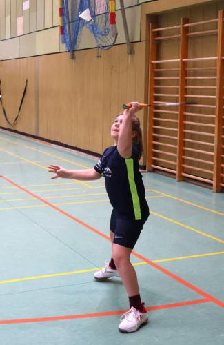 Badminton Hannover