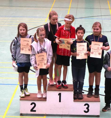 Badminton Hannover