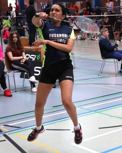 Badminton Hannover
