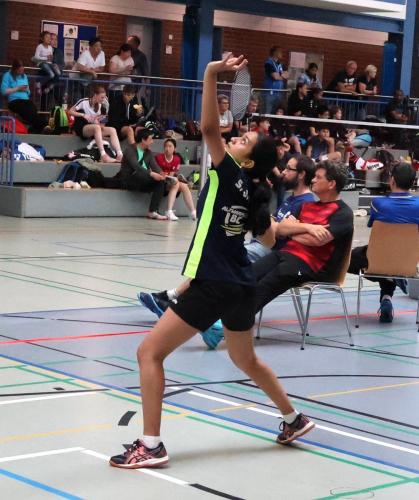 Badminton Hannover